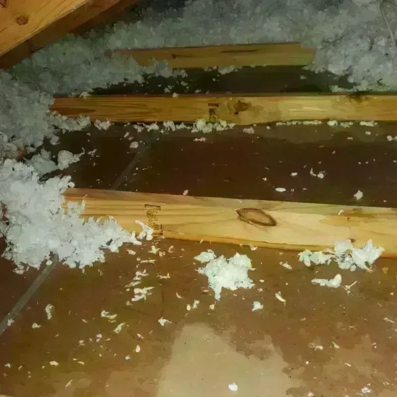 Attic Water Damage in Gramercy, LA