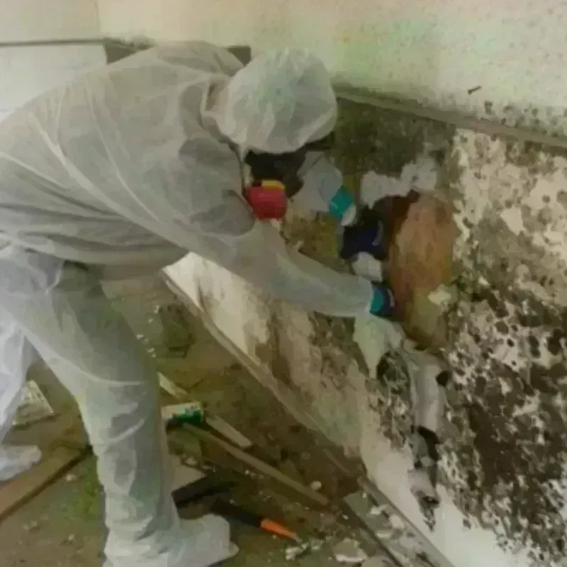 Mold Remediation and Removal in Gramercy, LA